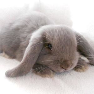 Meet your Posher, Annmarie